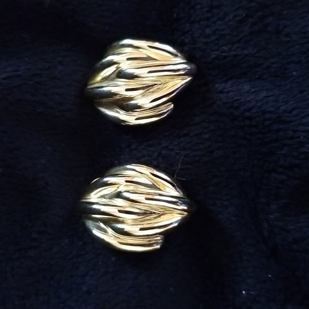 Goldtone Clip Earrings